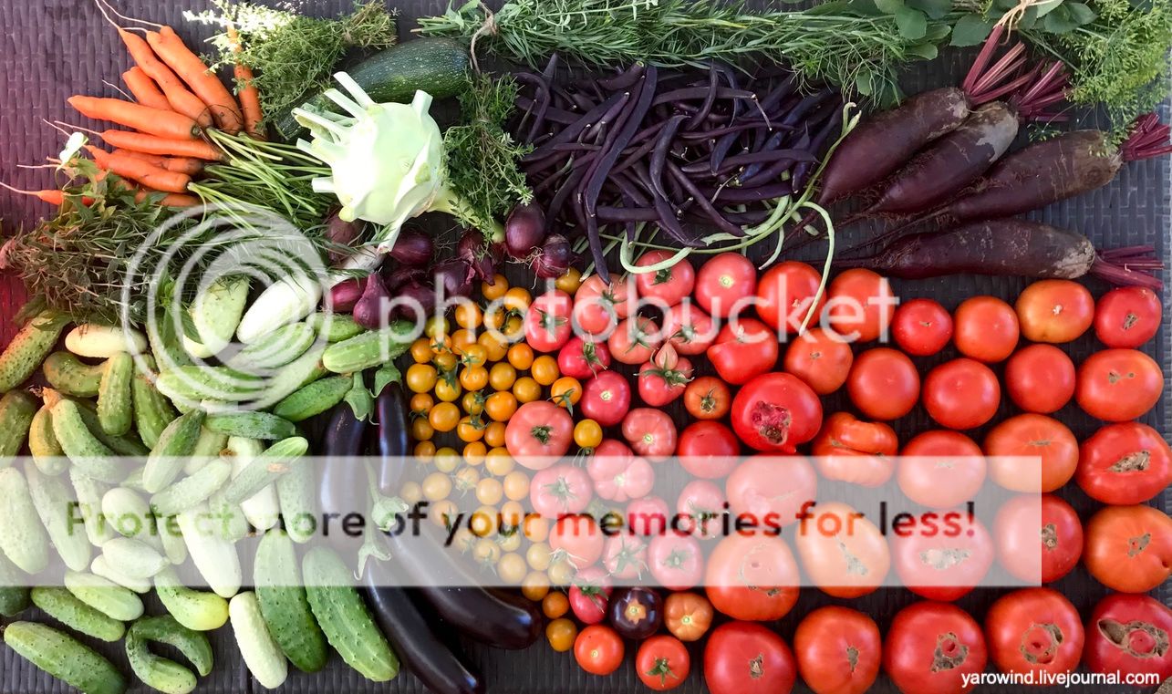 Урожаи 2022 IMG_0173 Урожаи 2022 IMG_0173