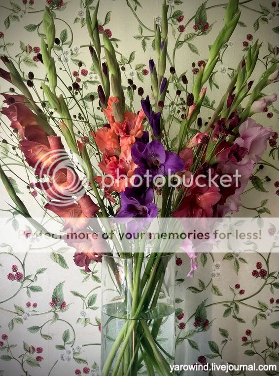 Урожаи 2022 IMG_0189 Урожаи 2022 IMG_0189