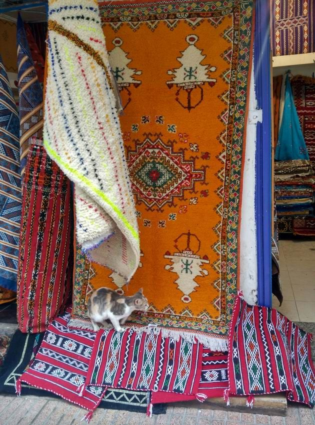 IMG_2017_02_10_164751_HDR