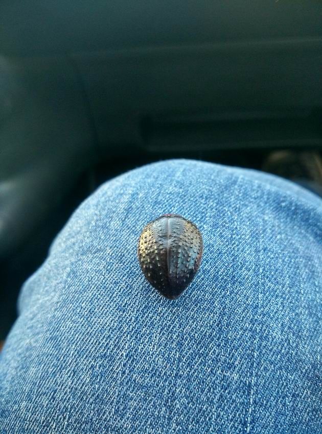 IMG_2017_02_14_101150_HDR