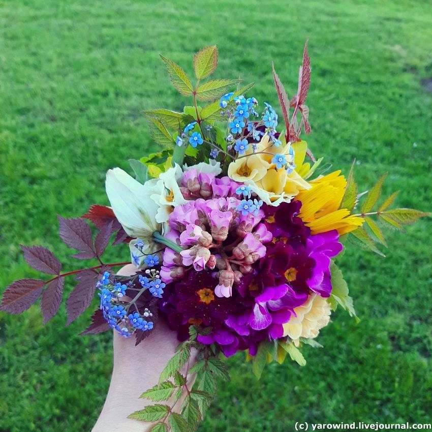 IMG_20200511_194935_571