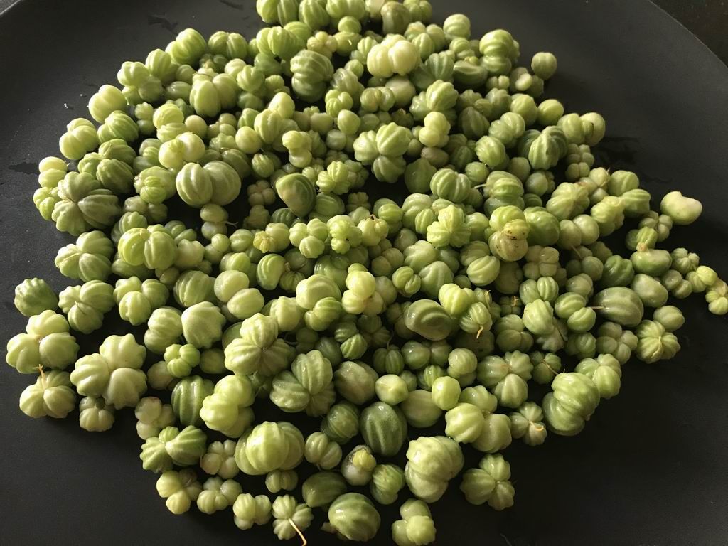 image_10_08_20_04_09_1