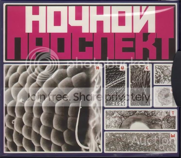«nochnoj_prospekt_kisloty"/