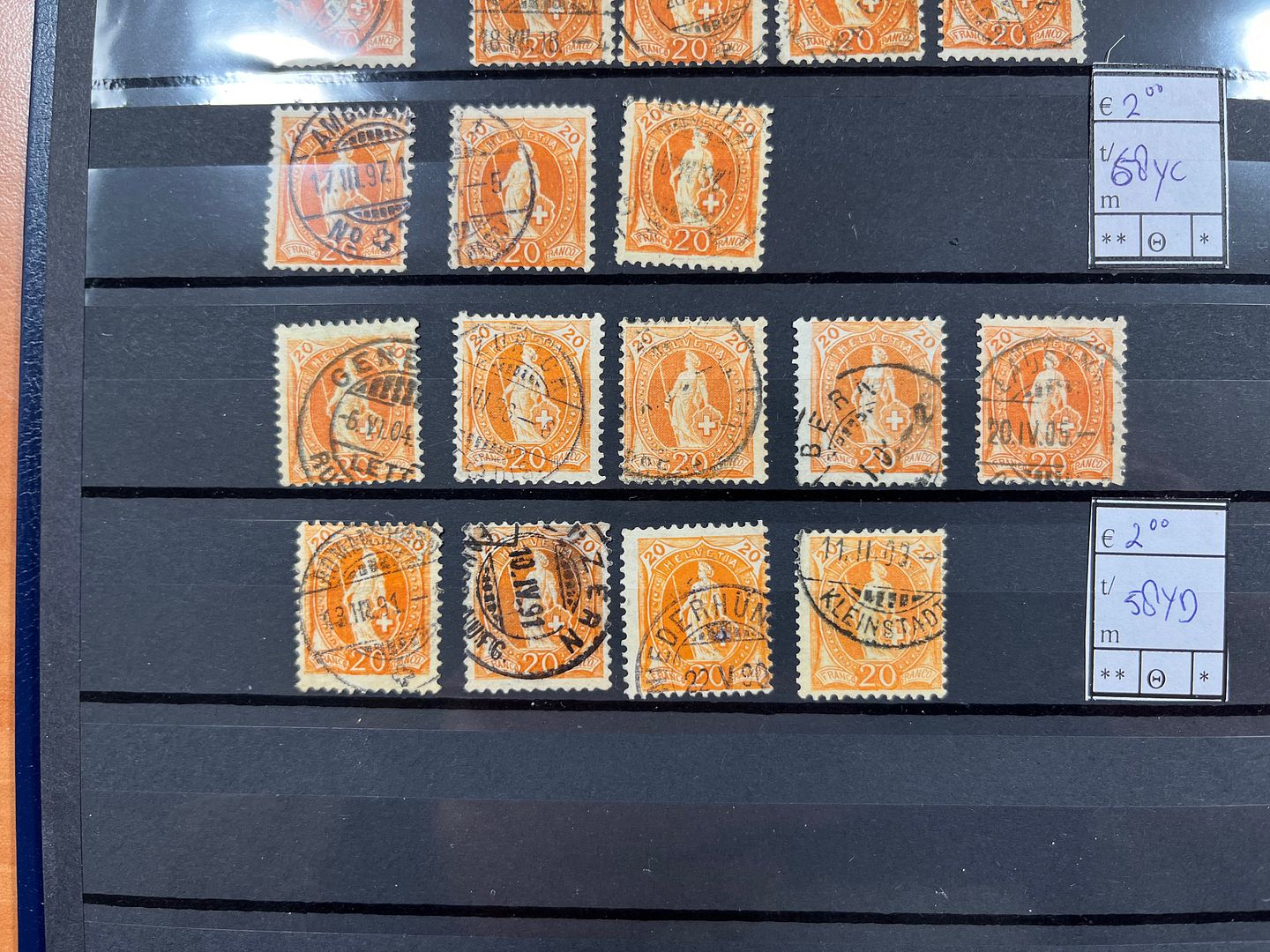 00147 Staande Helvetia - 4