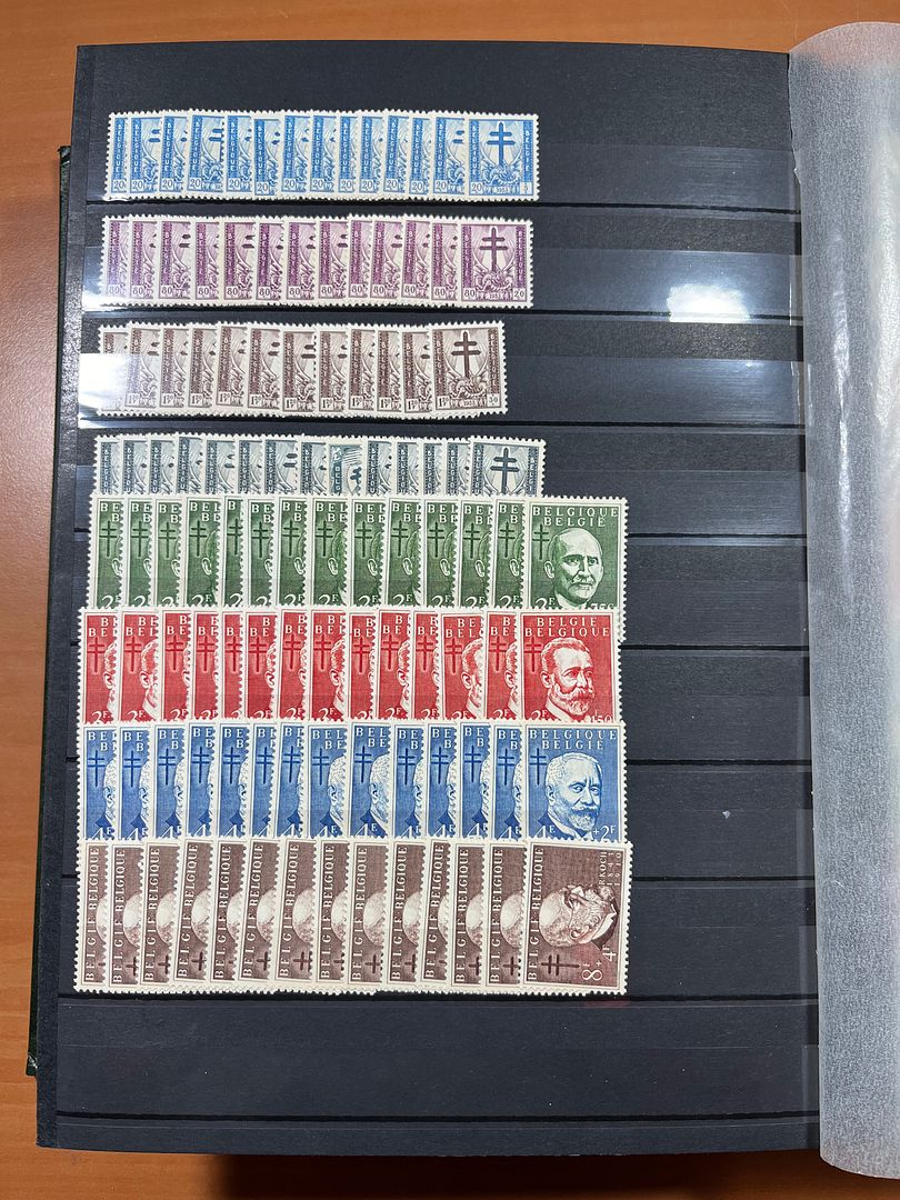 00161 BelgieÌ - 8