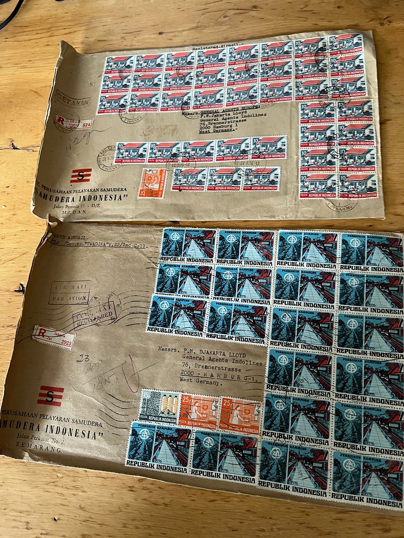 00217 4 dozen - 38
