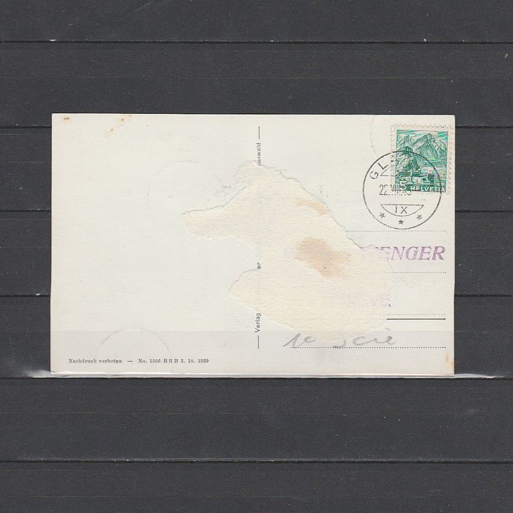 Zwi Brief 169