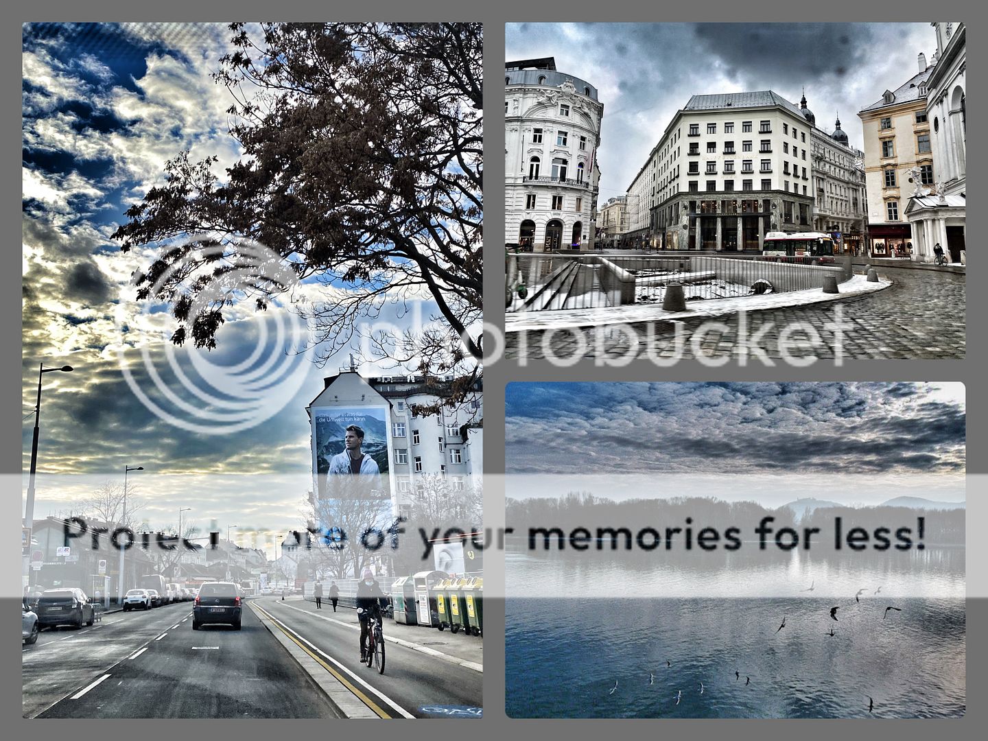 tatjana_lackner_urban_jungle