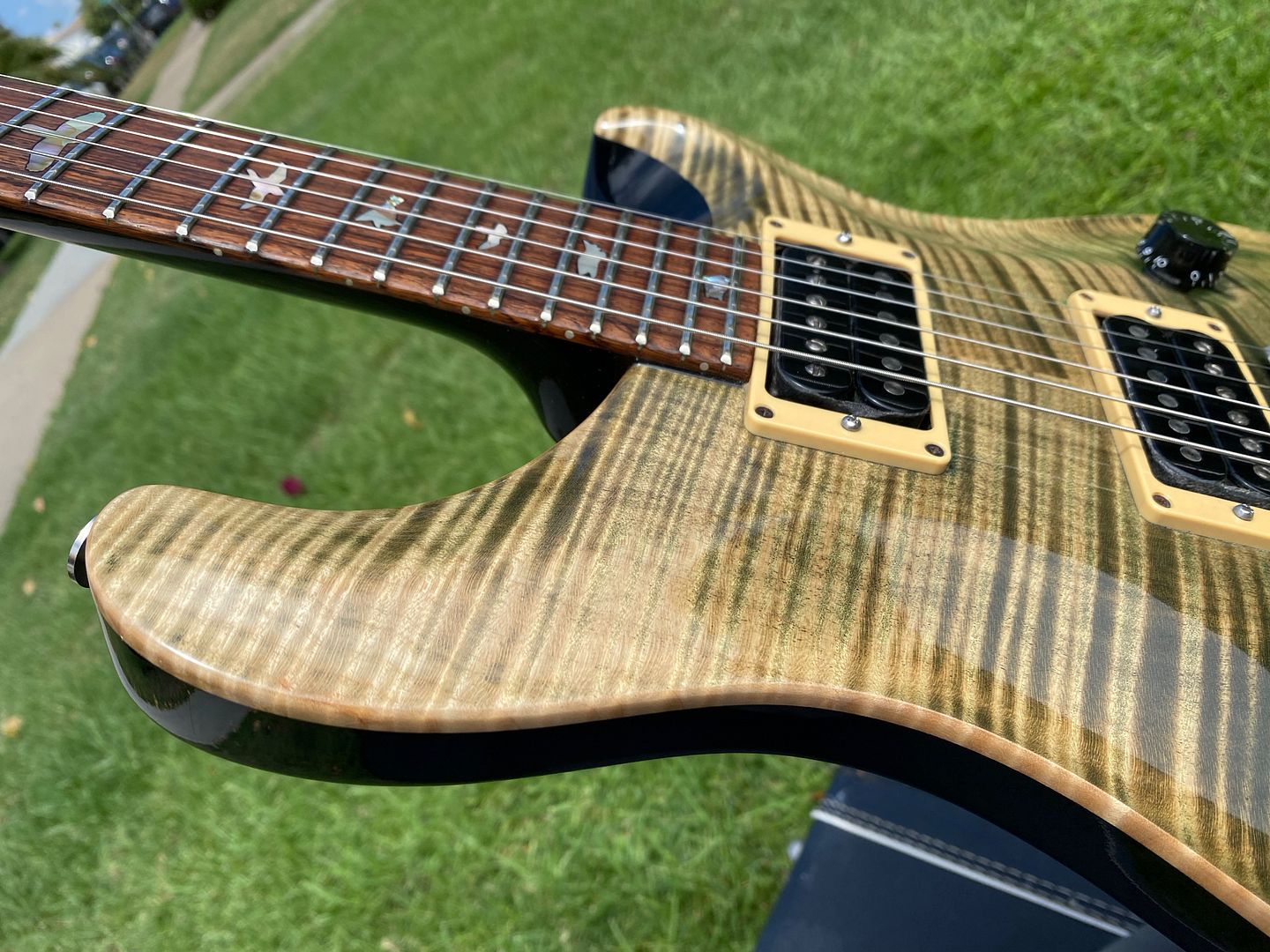 1990 PRS Custom 24 10 Top Green w/ Birds - Brazilian Board