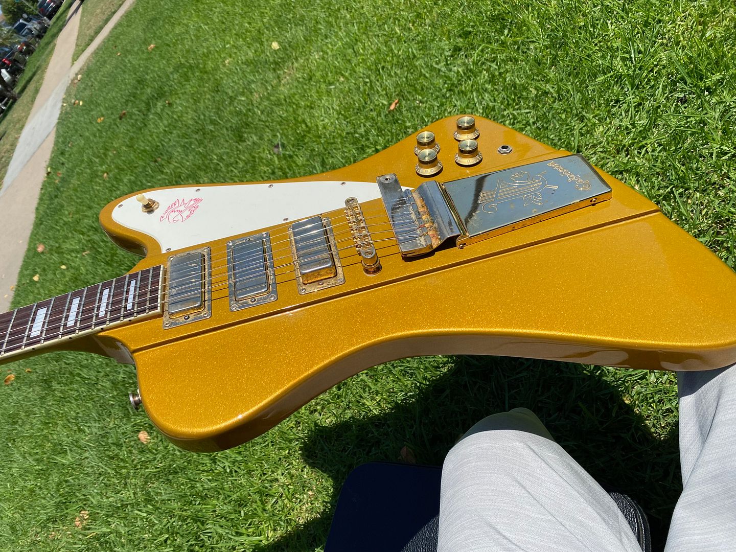 【希少】Epiphone 1963 Firebird VII Epiphone 1963 Firebird VII Electric Guitar Red | Musician's