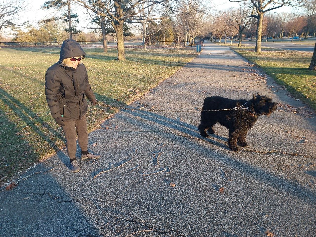 The MP court case on the 40 pound dog weight issue Part II The Blog