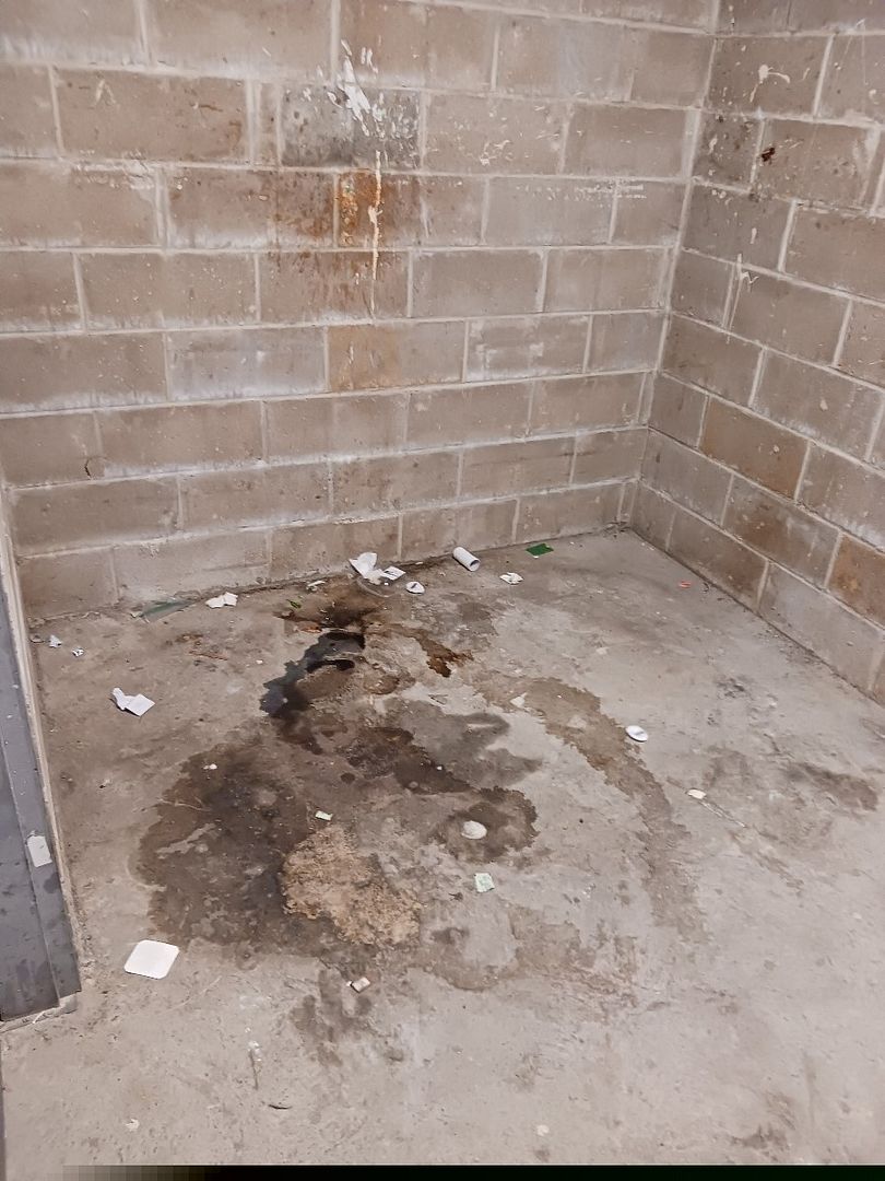 This observation stinks! Literally! The Blog