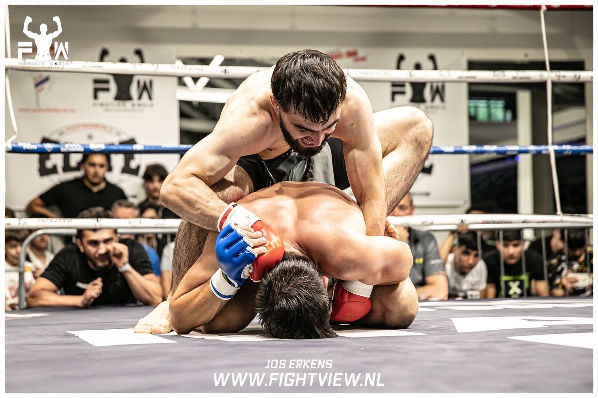 fightview
