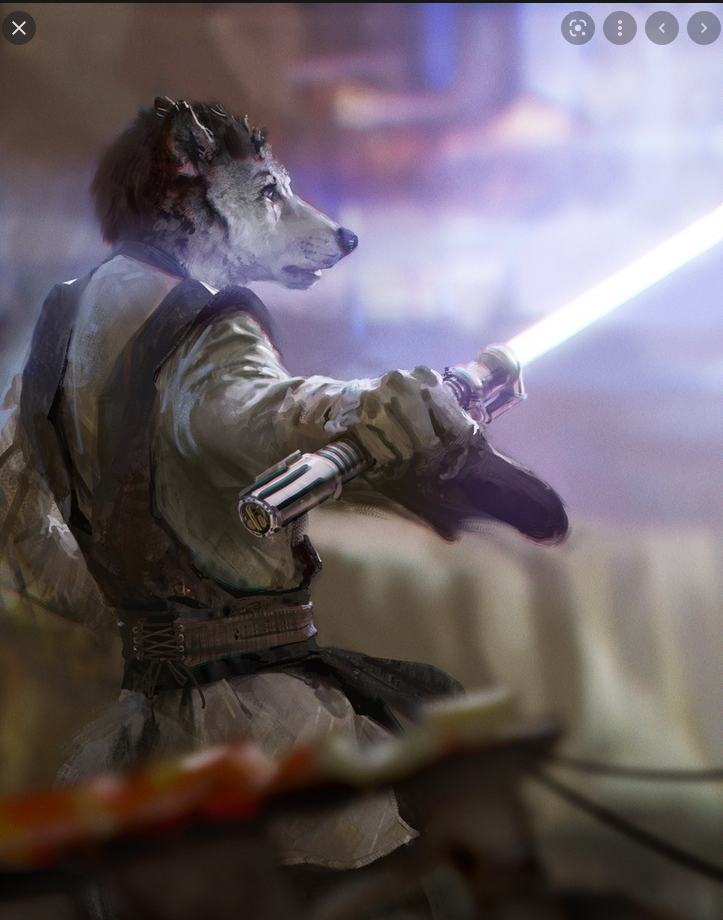 Screenshot_2022-06-20_at_18-11-07_wolf_jedi_-_Google_Search(1).png?width=1920&height=1080&fit=bounds