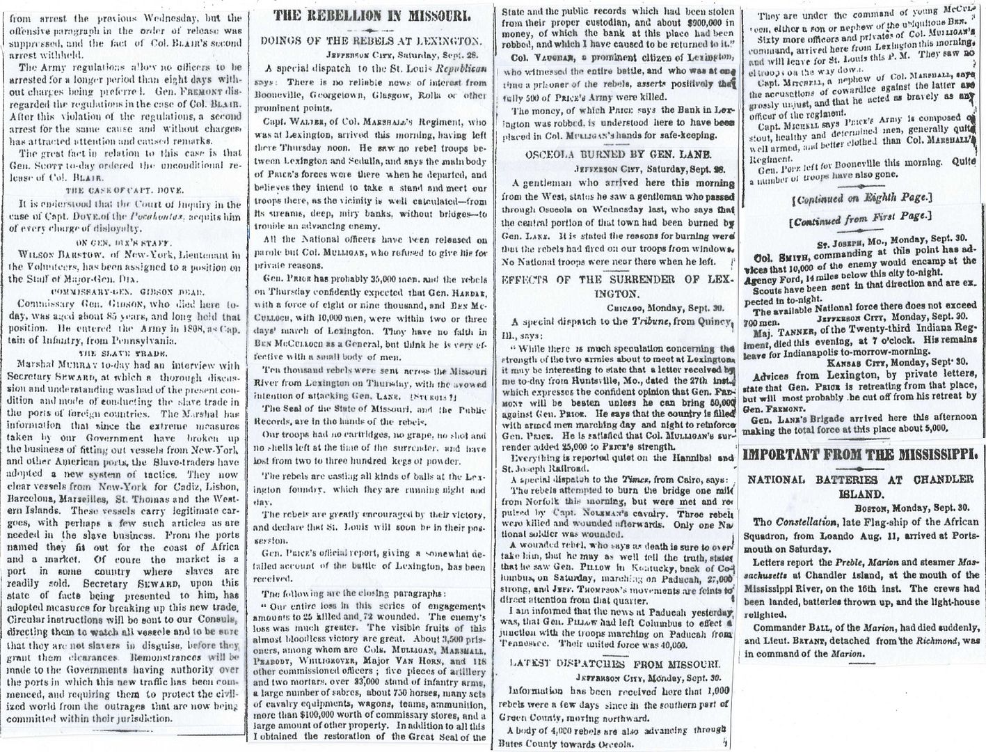 1001-nytimesd