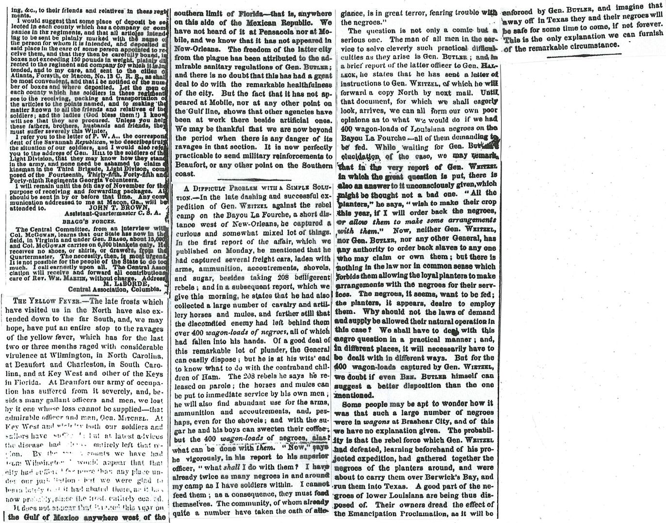 1119-nytimese_jRRswNpJn56gyZhuTTQ6JF