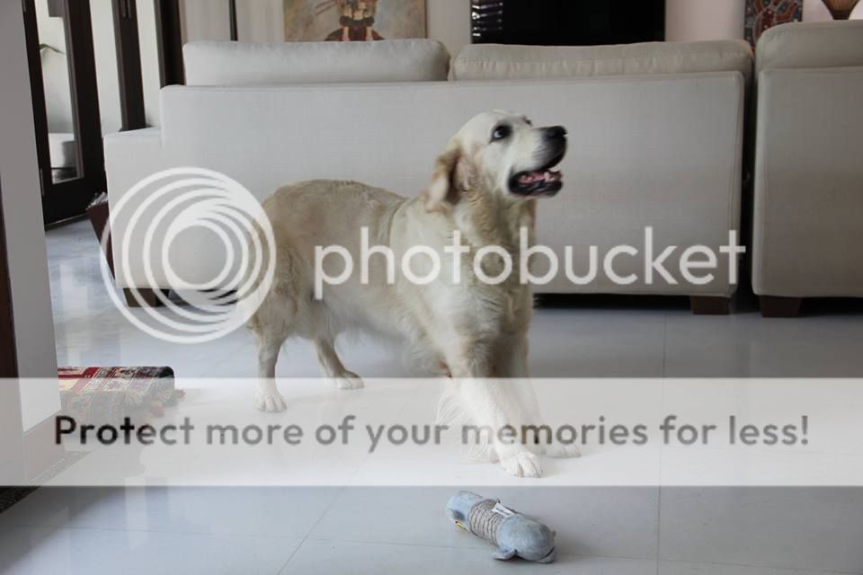 Photobucket - Video and Image Hosting