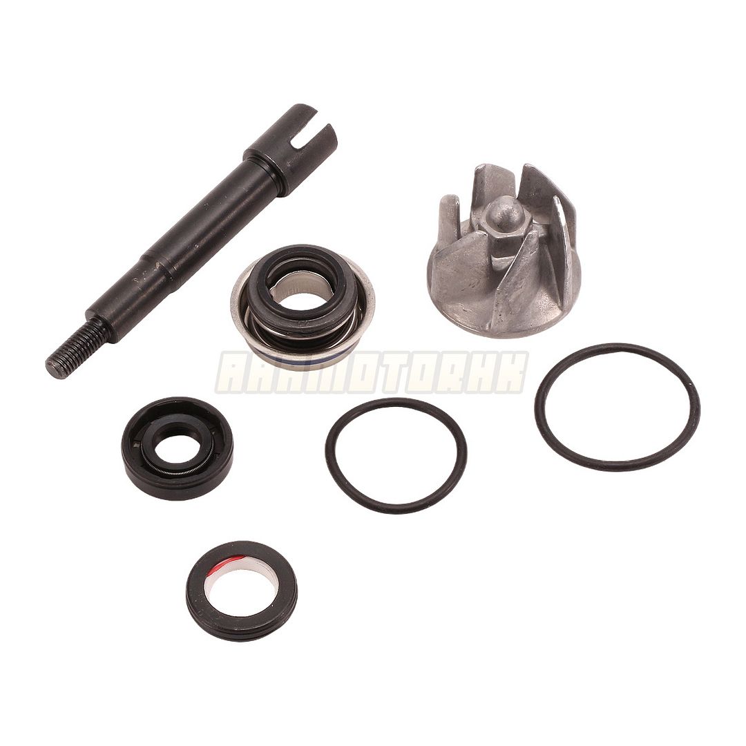 がー Water Pump Repair Kit For Honda NSS250X Forza MF08 2005-2008 19250