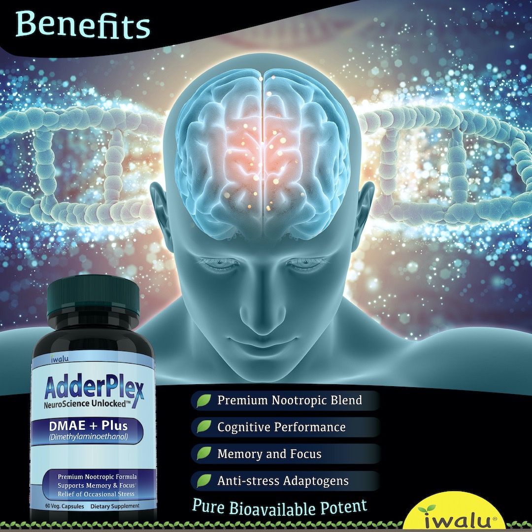 memory focus brain health nootropic supplements for sale