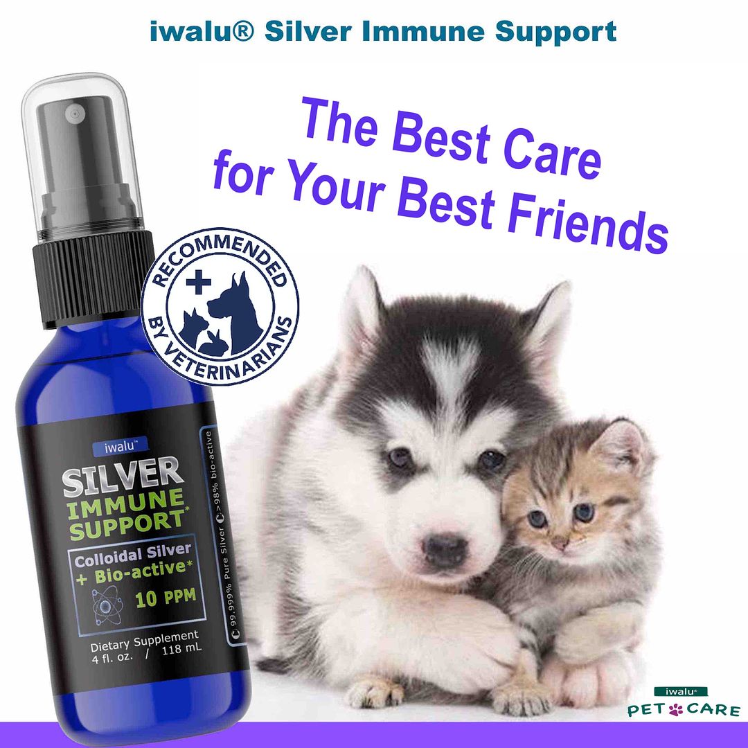 colloidal silver for dogs cats pet care antibiotics to treat internal and skin eyes ears nose throat infections