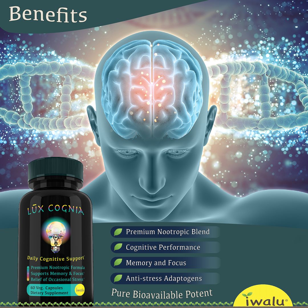 Nootropic Brain Support Supplement Mental Focus Memory Health Lux Cognia