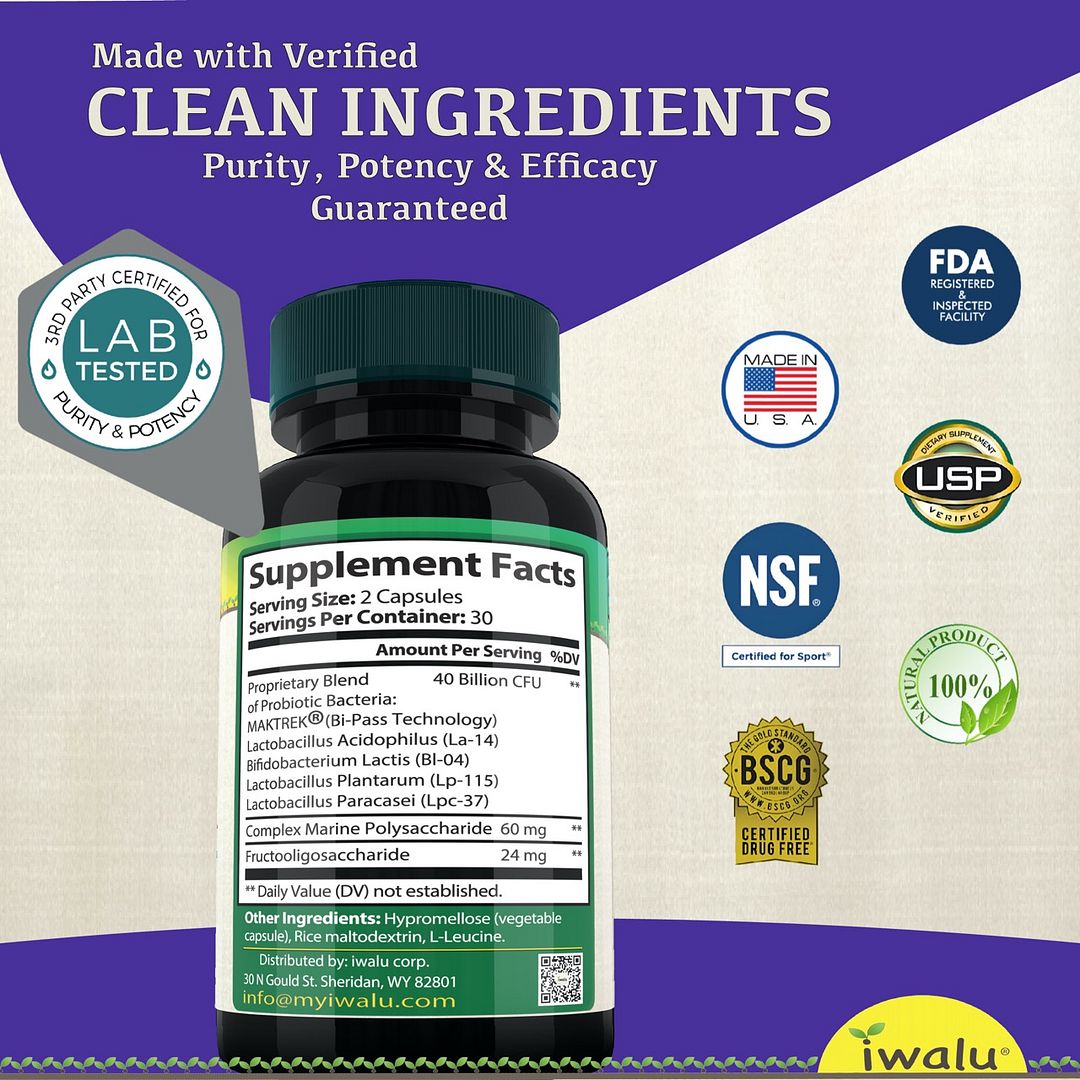 Womens Probiotic Physicians Prebiotic Digestive Support Gut Health Men Probiotic Digestive Health Support Multi Enzyme Lymphatic Drainage supplement