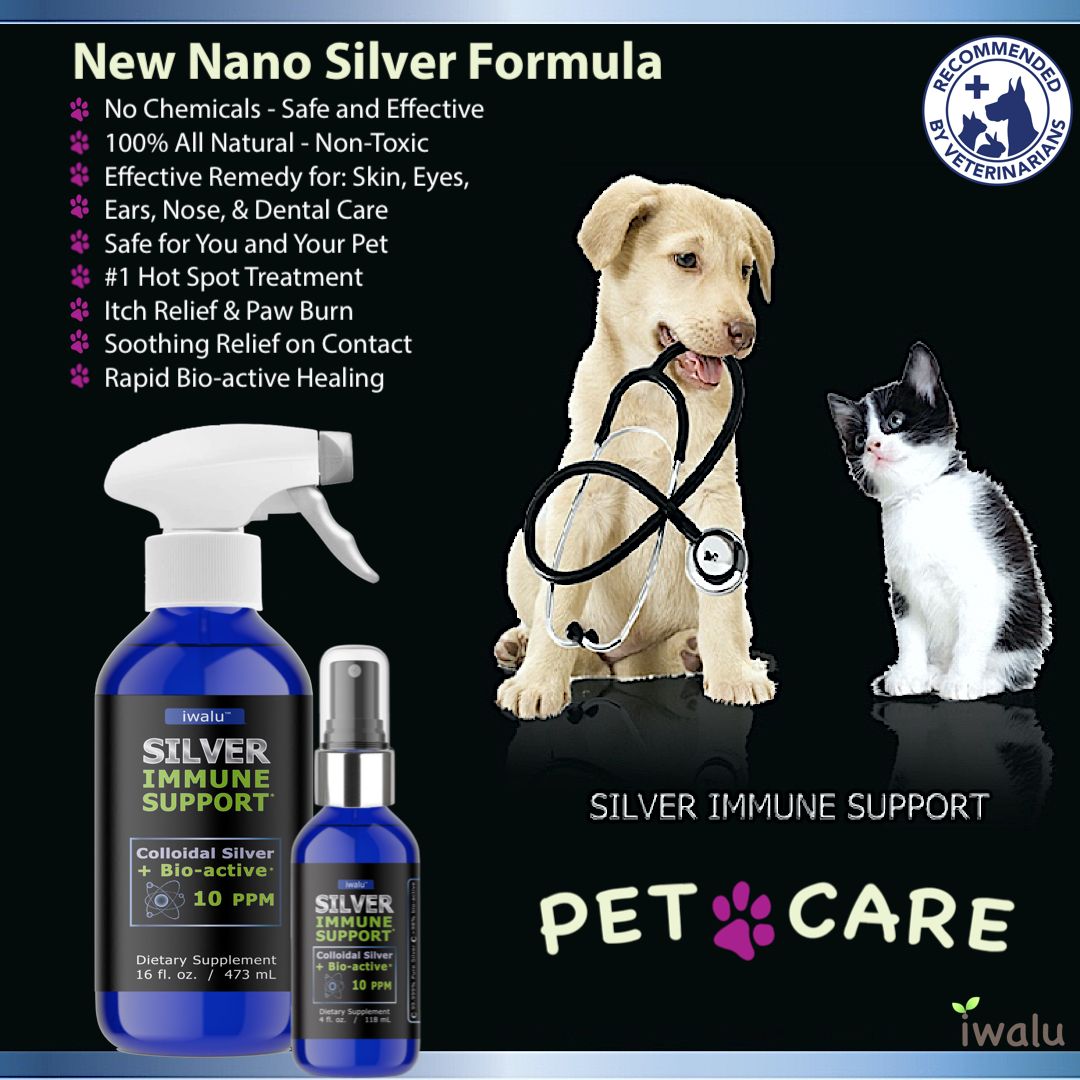 colloidal silver for pet care antibiotics to treat internal and skin eyes ears nose throat infections