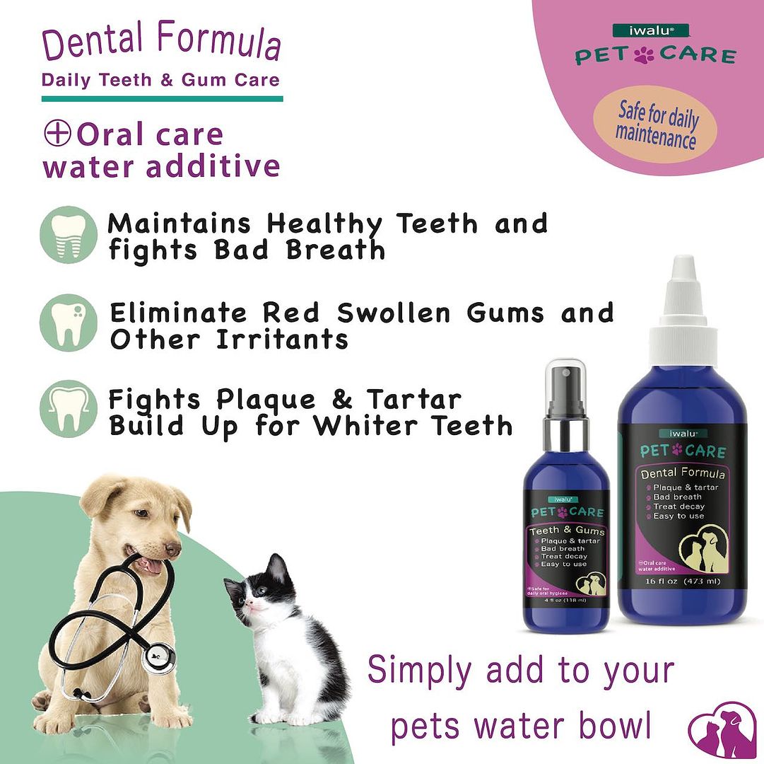 teeth cleaning dental care mouthwash fresh breath water additive spray plaque remover Oral Rinseteeth cleaning dental care mouthwash fresh breath water additive spray plaque remover Oral Rinse