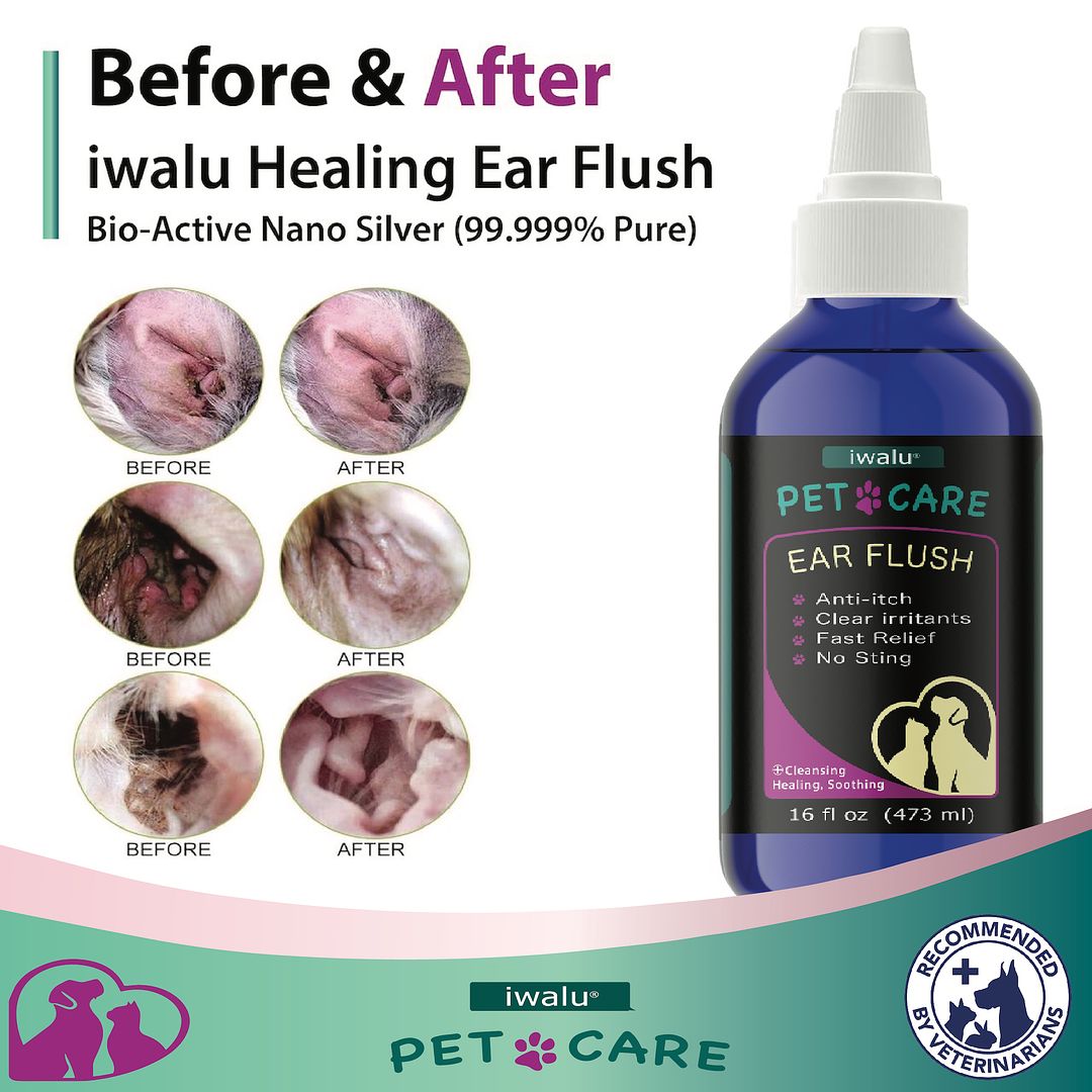 amazon dog ear cleaner reviews infection treatment solution wash drops cure support puppy cat dog pet kitten medicine 
