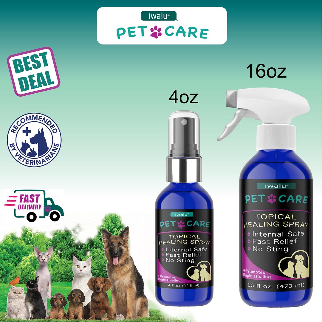 dog itch relief cat pet top best health care stuff supplies remedies treatment supplements accessories relief essentials medicine spray support