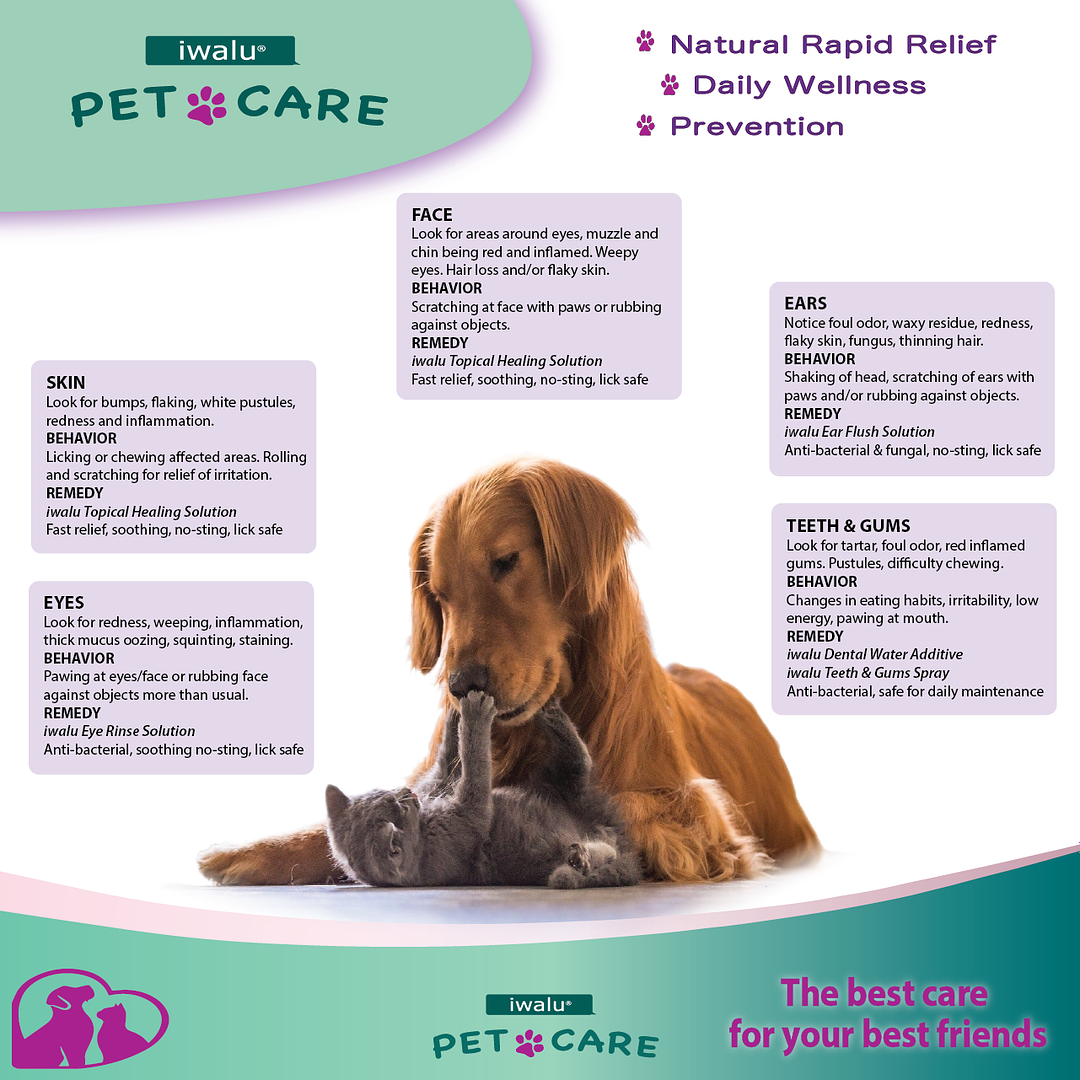 topical healing spray for dogs, cats, pets, hamsters, guinea pigs and livestock