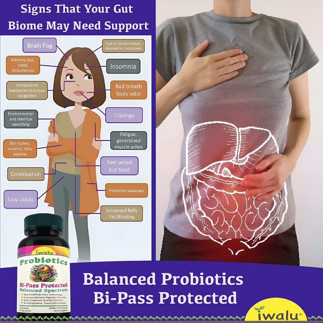 Womens Probiotic Physicians Prebiotic Digestive Support Gut Health Men Probiotic Digestive Health Support Multi Enzyme Lymphatic Drainage supplement