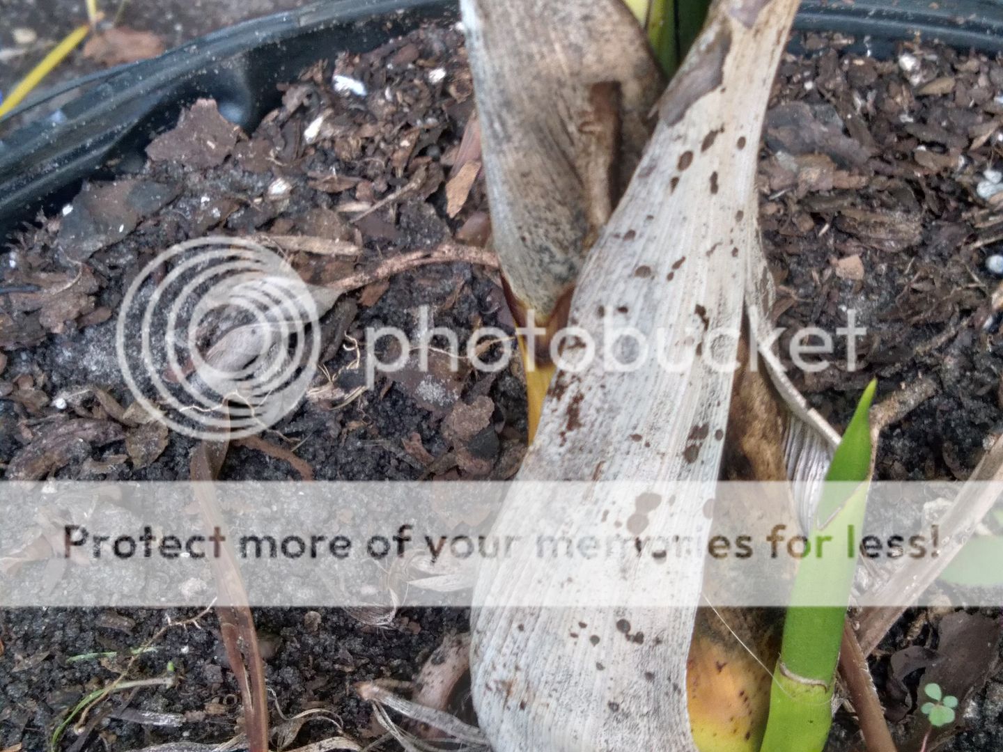 20211020_142152.jpg?width=1920&height=10