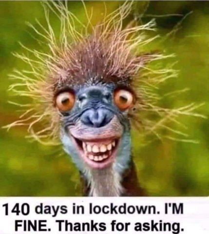 140_days_in_lockdown_RED50