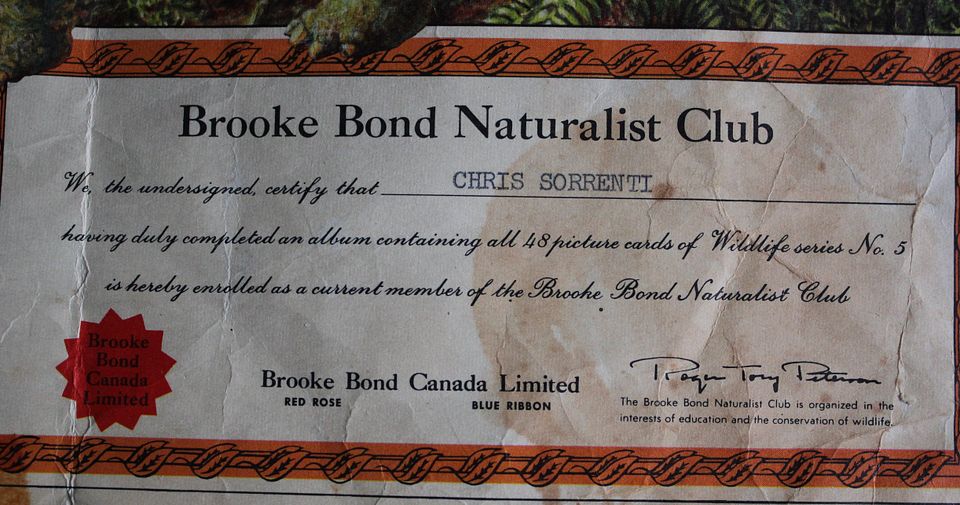 3-Brook Bond certificate b RED50