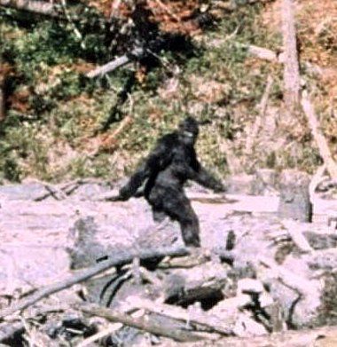 Patterson_Gimlin_BigfootCROP