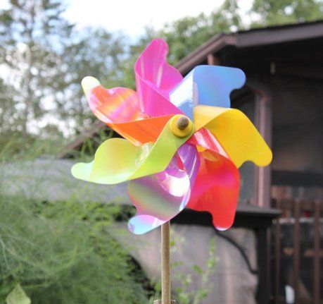 Pinwheel_at_Joe_and_Lyne's_cottag_cottage_-_August_2021_b_CROP_RED5050