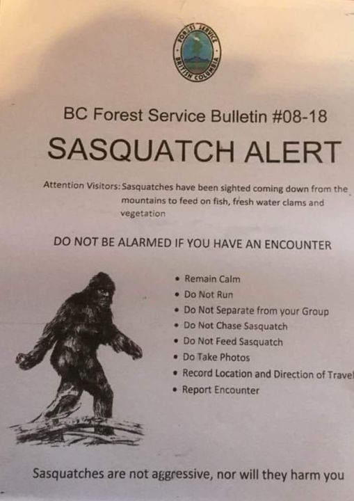 Sasquatch Alert - BC Forest Service