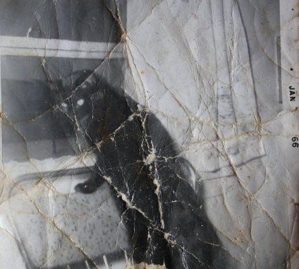 Sooty January 1966 b 505050