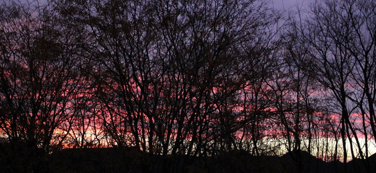 Sunrise_Nov._1_2020_c_CROP_RED5050_by_Chris_Sorrenti