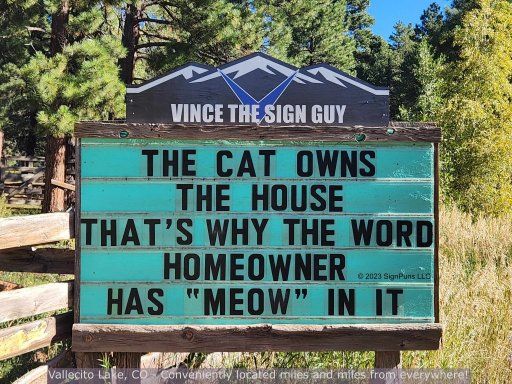 The cat owns the house RED5050