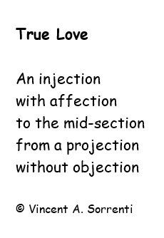 True Love by Vince Sorrenti