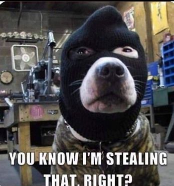 You know I'm stealing that