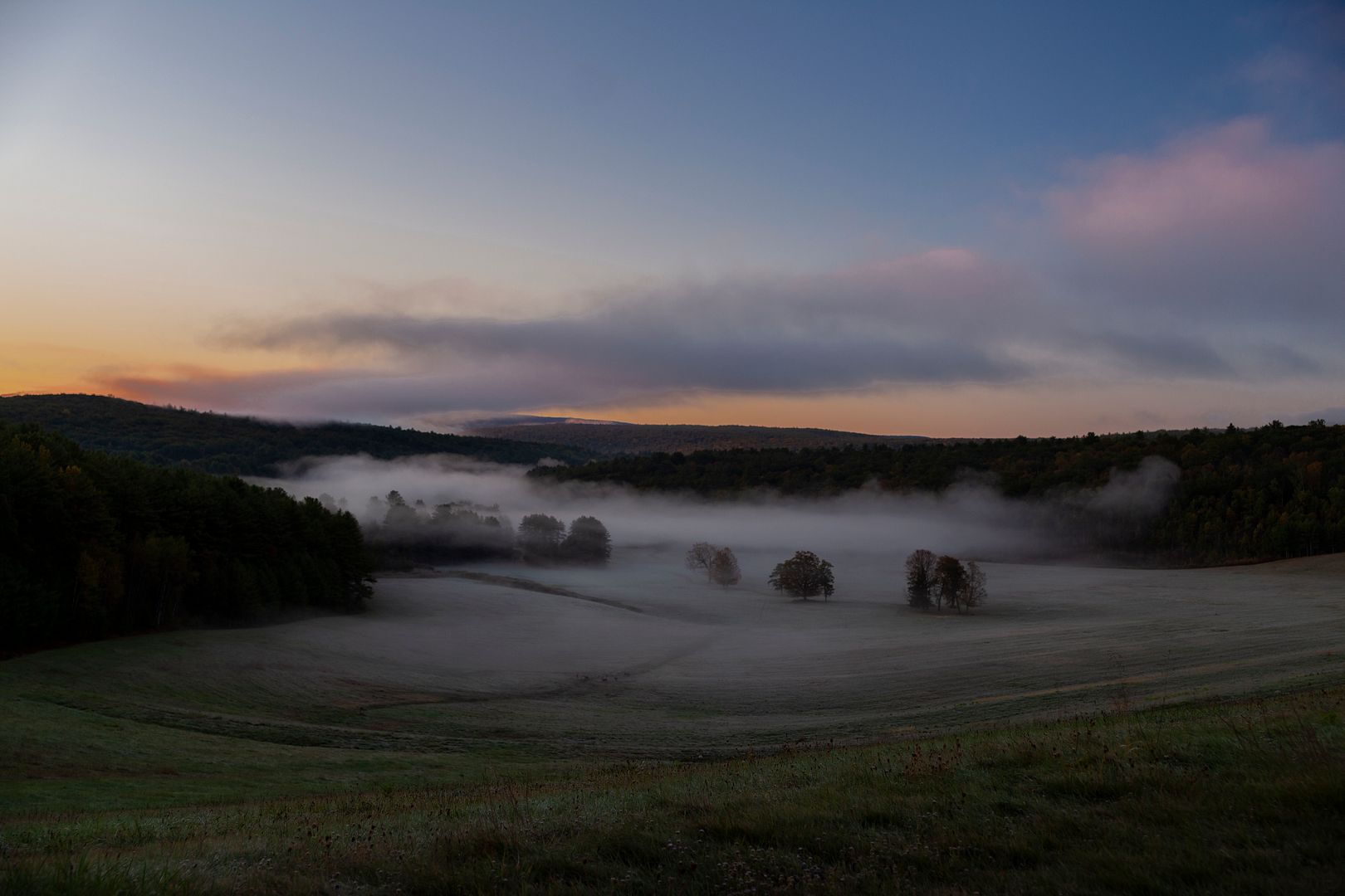 Mini Competition #2537