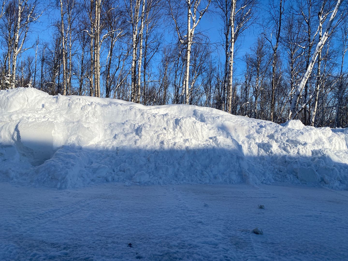 A few pictures of the conditions here in Alaska; Fly Fishing Forum