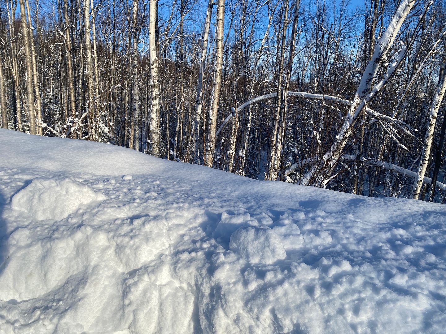 A few pictures of the conditions here in Alaska; Fly Fishing Forum