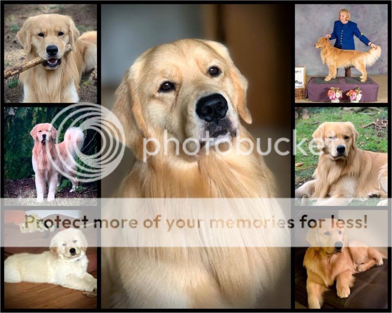 Photobucket - Video and Image Hosting