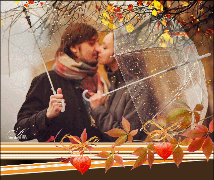 AUTUMN 660