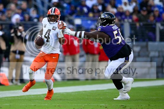BROWNS 3322