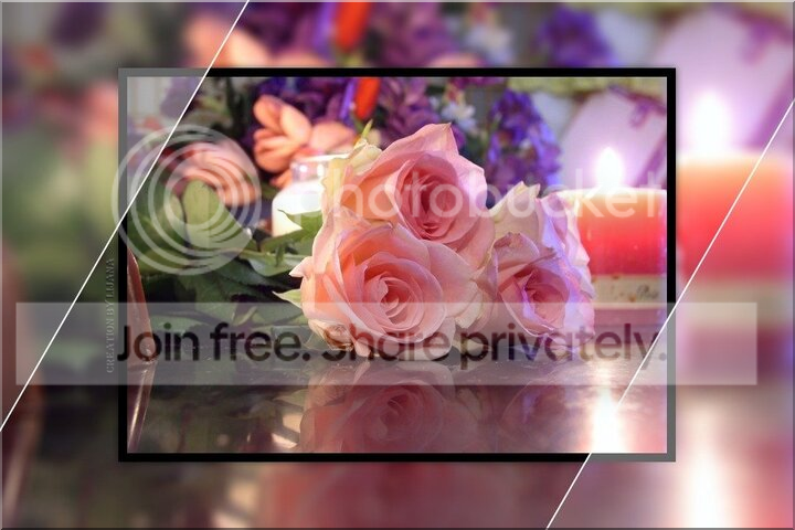 ROSES 32